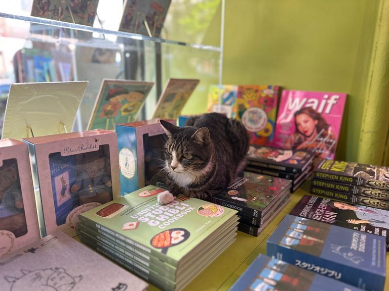 pillow-cat-books-10 Bookstores East Village
