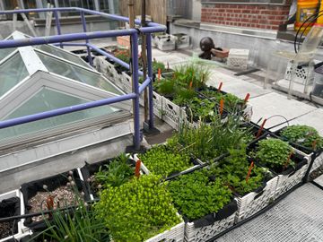 IMG_4848-prime-produce Community Centers Hells Kitchen