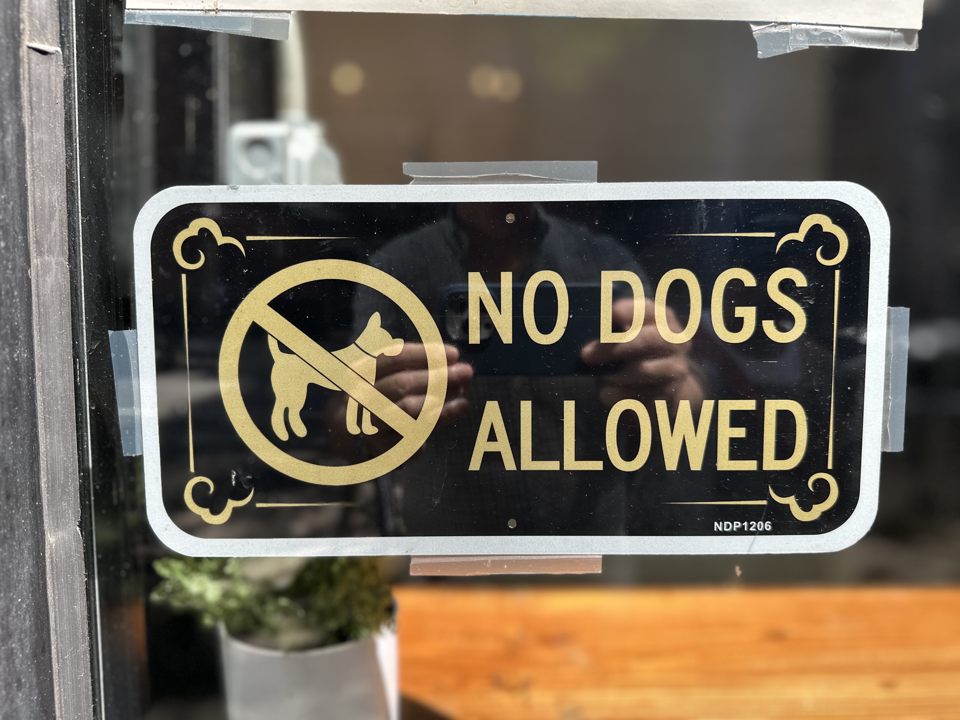 Clearly No Dogs Allowed at this coffee shop on E90th Street. 
