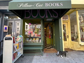 pillow-cat-books-2 Bookstores East Village