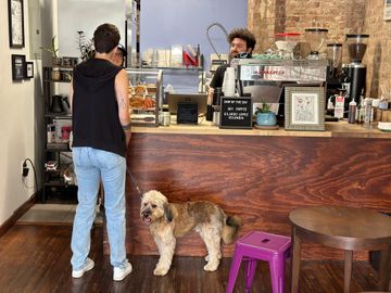 Sojourner Coffee Co Coffee Shops Harlem