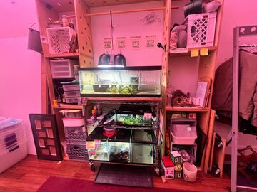 IMG_4787-prime-produce Community Centers Hells Kitchen