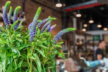 Till and Sprocket / Interface 8 Cafes Chelsea Tenderloin