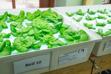 Fountain House 7 Community Services Private Residences Hells Kitchen Midtown West