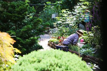 Clinton Community Garden 2 Gardens Hells Kitchen Midtown West