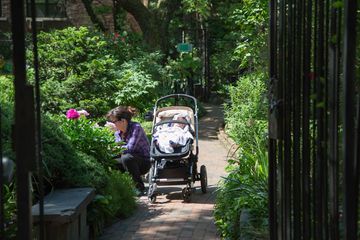 Clinton Community Garden 5 Gardens Hells Kitchen Midtown West