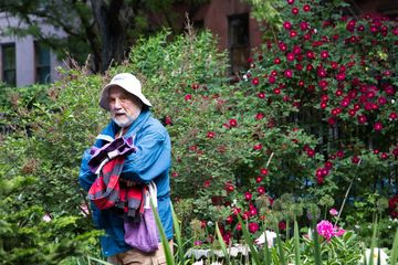 Clinton Community Garden 10 Gardens Hells Kitchen Midtown West