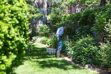 Clinton Community Garden 11 Gardens Hells Kitchen Midtown West