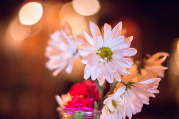 Tanner Smiths 3 Bars Beer Bars Midtown West