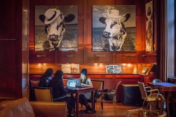 Hudson New York 7 Bars Hotels Burgers Midtown West Midtown