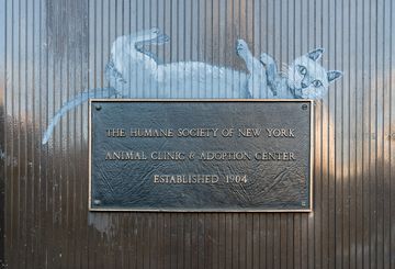 Humane Society of New York 1 Veterinarians Animal Rescue Pet Adoption Midtown East Midtown