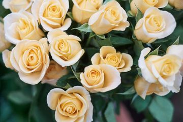 Flowers by Special Arrangement 2 Florists Midtown West