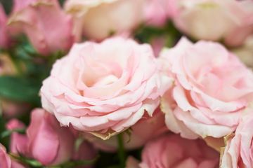 Flowers by Special Arrangement 3 Florists Midtown West