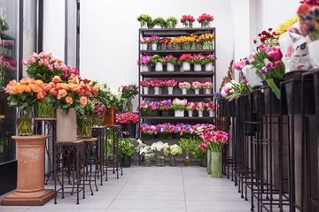 Flowers by Special Arrangement 5 Florists Midtown West