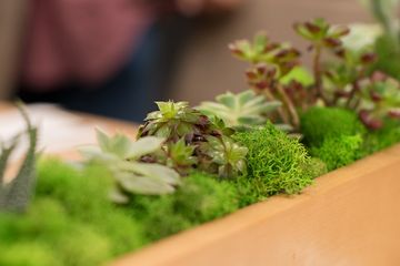 Five Senses Korean Restaurant 4 Korean Chelsea Koreatown Tenderloin