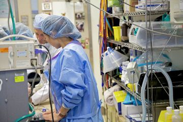 Animal Medical Center 13 Veterinarians Upper East Side Uptown East