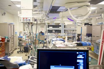 Animal Medical Center 14 Veterinarians Upper East Side Uptown East