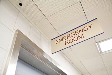 Animal Medical Center 19 Veterinarians Upper East Side Uptown East