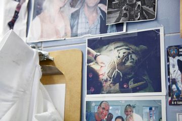 Animal Medical Center 20 Veterinarians Upper East Side Uptown East