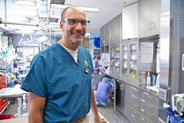 Animal Medical Center 21 Veterinarians Upper East Side Uptown East