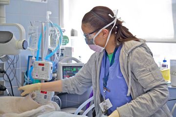 Animal Medical Center 22 Veterinarians Upper East Side Uptown East