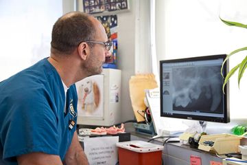 Animal Medical Center 23 Veterinarians Upper East Side Uptown East