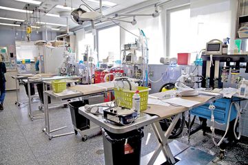 Animal Medical Center 25 Veterinarians Upper East Side Uptown East