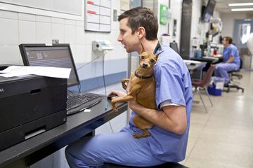 Animal Medical Center 26 Veterinarians Upper East Side Uptown East