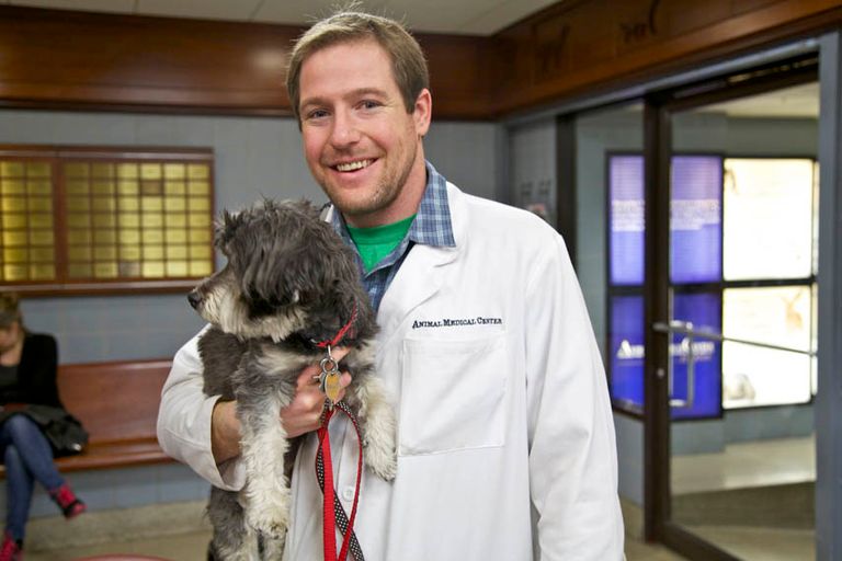 Animal Medical Center 1 Veterinarians Upper East Side Uptown East