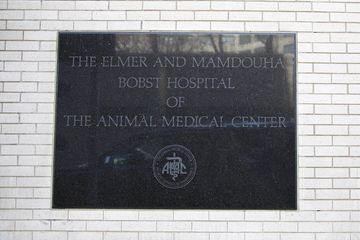 Animal Medical Center 3 Veterinarians Upper East Side Uptown East