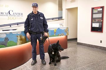 Animal Medical Center 4 Veterinarians Upper East Side Uptown East