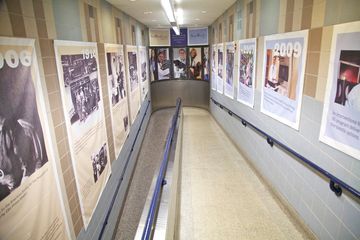 Animal Medical Center 7 Veterinarians Upper East Side Uptown East