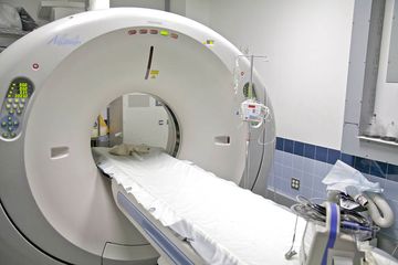 Animal Medical Center 8 Veterinarians Upper East Side Uptown East