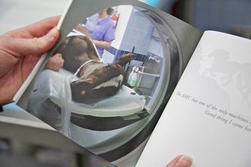 Animal Medical Center 9 Veterinarians Upper East Side Uptown East