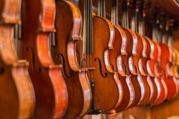 David Segal Violins Ltd. 20 Restoration and Repairs Upper West Side Lincoln Square Midtown West