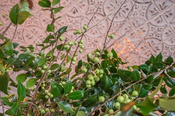 Cafe Tallulah 10 Brunch French Lincoln Square Midtown West Upper West Side