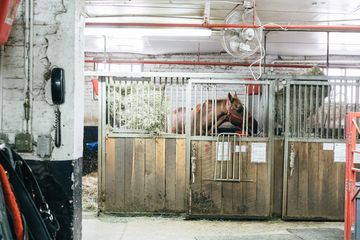 Clinton Park Stables 2 Stables Hells Kitchen Midtown West