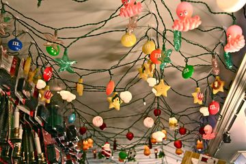 Just Bulbs 2 Lighting Family Owned Midtown East Midtown