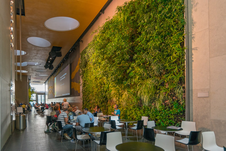 David Rubenstein Atrium
