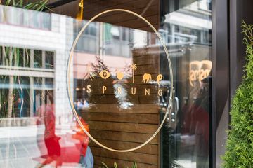 Inday 2 Indian Flatiron Tenderloin