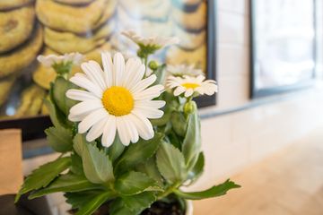 Grandaisy Bakery 12 Bakeries Upper West Side