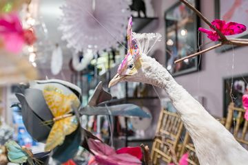 Cynthia Rowley & CuRious Candy 15 Women's Clothing Chocolate Candy Sweets Uptown East Upper East Side