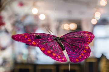 Cynthia Rowley & CuRious Candy 22 Women's Clothing Chocolate Candy Sweets Uptown East Upper East Side