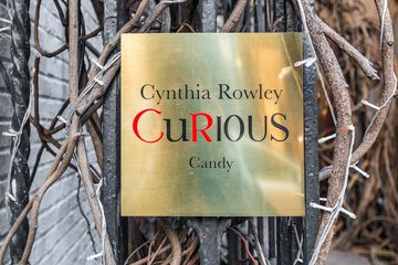 Cynthia Rowley & CuRious Candy 29 Women's Clothing Chocolate Candy Sweets Uptown East Upper East Side