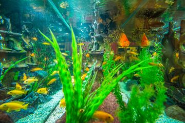 Dive 75 3 Bars American Upper West Side