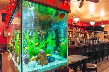 Dive 75 6 Bars American Upper West Side