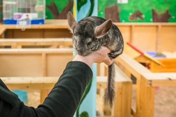 The Art Farm in the City 13 Event Spaces Childrens Classes For Kids Upper East Side Yorkville