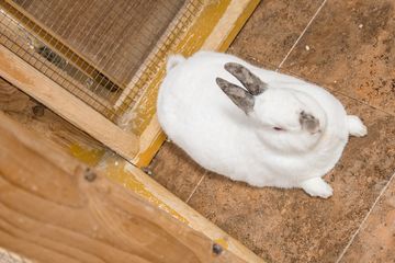 The Art Farm in the City 14 Event Spaces Childrens Classes For Kids Upper East Side Yorkville