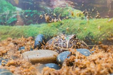 The Art Farm in the City 15 Event Spaces Childrens Classes For Kids Upper East Side Yorkville