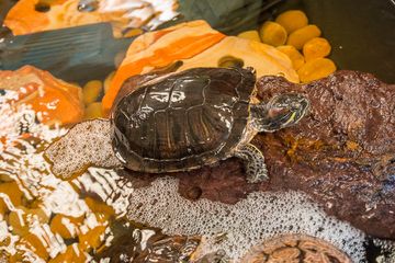 The Art Farm in the City 16 Event Spaces Childrens Classes For Kids Upper East Side Yorkville